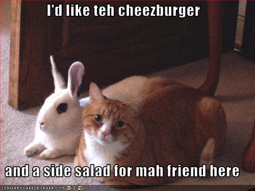 Catbunnysidesalad.jpg