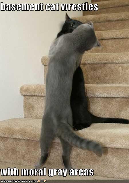 Funny-pictures-basement-cat-wrestle.jpg