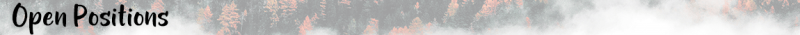 File:PositionsDec2020.png