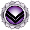 Membership Merit Platinum 300.png