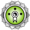 Participation Committee Merit Silver 300.png