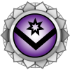 Senior Membership Merit Silver 300.png