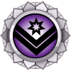 Senior Membership Merit Platinum 300.png