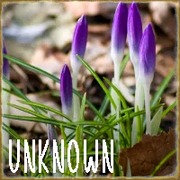 FM004 - Unknown as MoAS.png