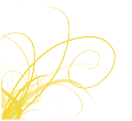Yellowcurl.png