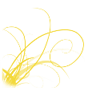 Yellowcurl edited4.png