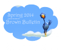 Brown Bulletin Spring2014 Title.png