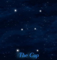 Constellation-Cup.jpg