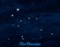 Constellation-Plowman.jpg