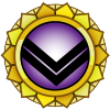 Membership Merit Gold 300.png